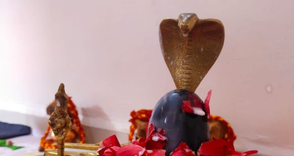 Kaal Sarp Dosh Puja in Ujjain